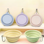 Collapsible Pet Travel Bowl